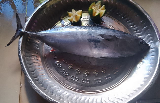 Kalimetiya Beach Cabana Near Beach 4 Minutes Walk - Photo 11