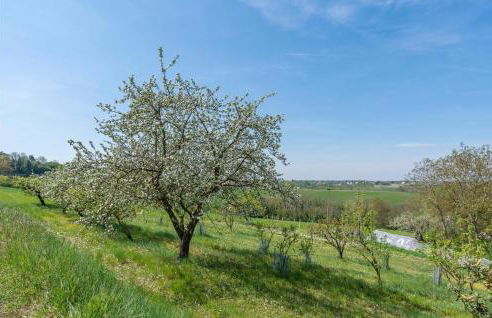 Gorgeous Home In Ferrere With Kitchen - Foto 41