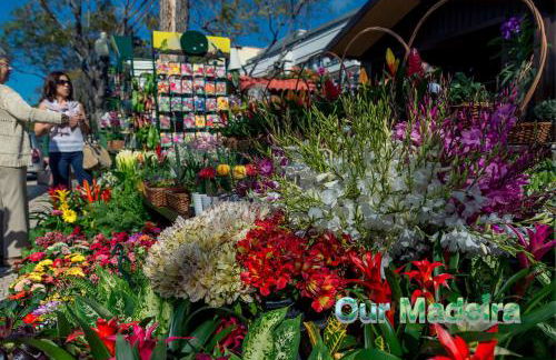 OurMadeira - BelleVeva - Foto 29