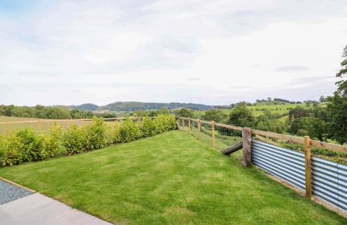 Charollais - Foto 15