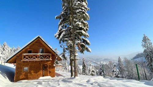 Leśny Domek - Foto 3