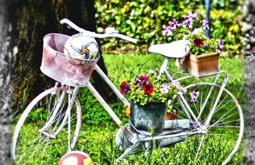 Aia di Beppe - Foto 22