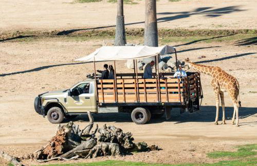 Entire Private Studio with King Bed, Bathroom, 1 Parking, Available Now - Foto 35