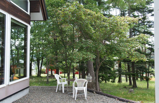 Phytoncide Morinokaori - Foto 25