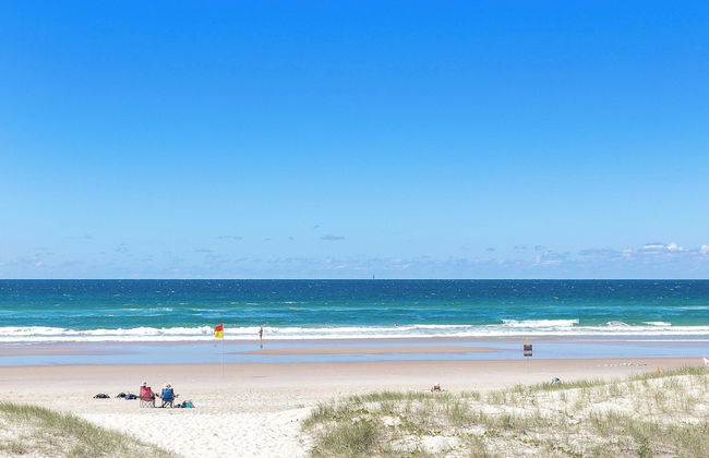 Surfsong on Miami Beach - Photo 48