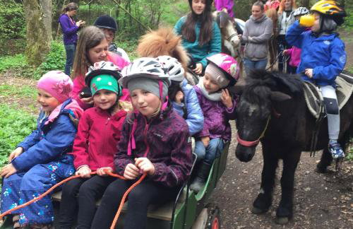 Ferienhaus Spielburg - Foto 60