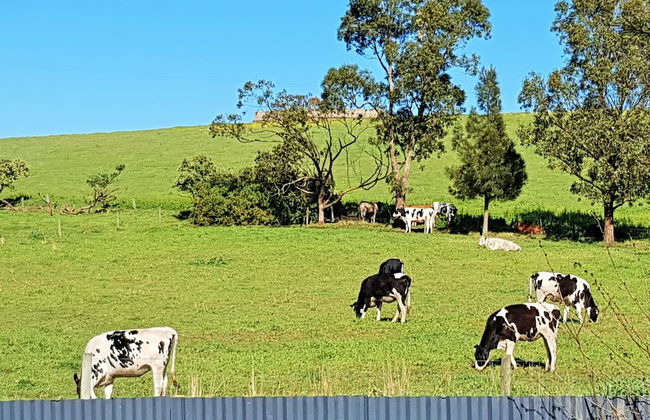 Coragulac House Cottages - Foto 56