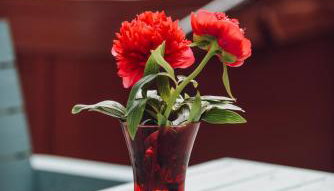 Lizzie's Cottage - Foto 5