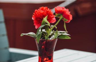 Lizzie's Cottage - Foto 5