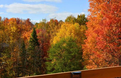 Trout Creek Resort Condo - 1 Mi to Nubs Nob! - Foto 40