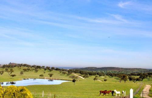 Herdade da Boavista - Foto 53
