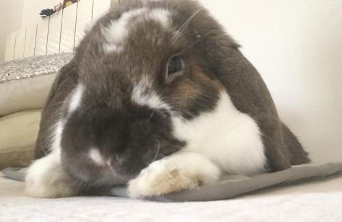Habitación particular,baño compartido - Foto 22
