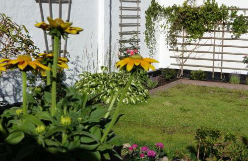 Alter Krämerladen von 1732 - Foto 28