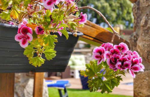 JARANDALUS (casa con atractivo y encanto) - Foto 58