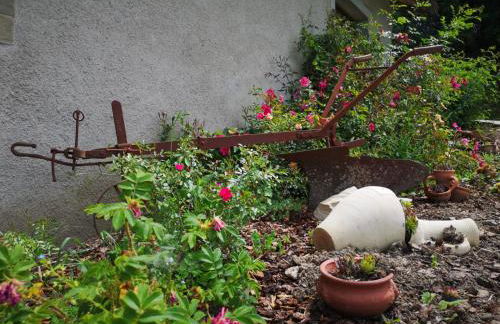 Agriturismo Fattoria didattica Il Macereto - Foto 30