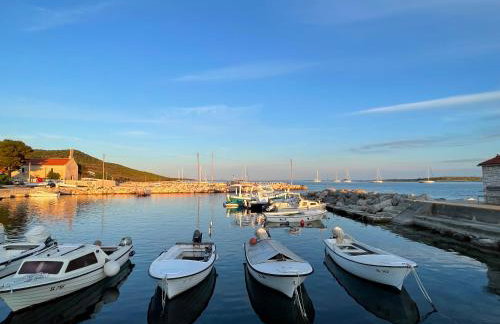 Loza Blue, Premuda island - Foto 25