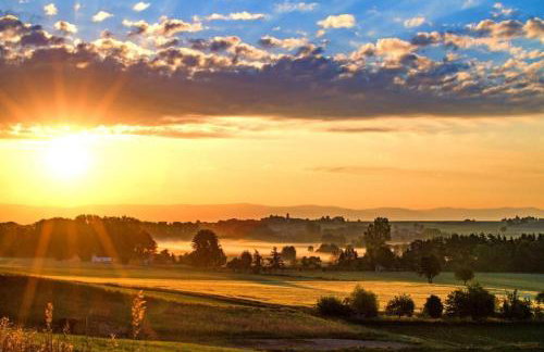 Bergkiefer - Ferienwohnung - Foto 24