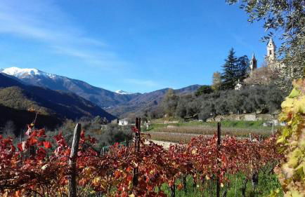 Agriturismo A Cà du Paipèru - Photo 11