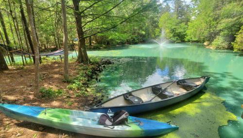 Waterfront Treehouse in a Magical Forest - Foto 2