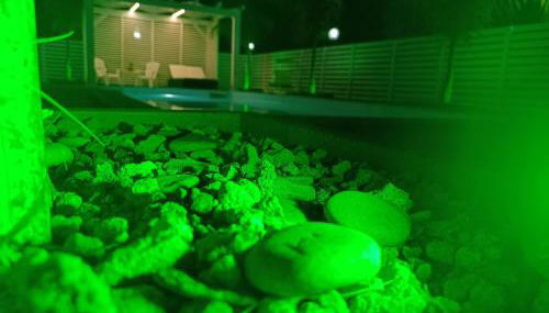 Scanio's House - Foto 3