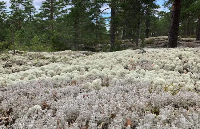 3 Person Holiday Home in Eskilstuna-by Traum - Foto 18