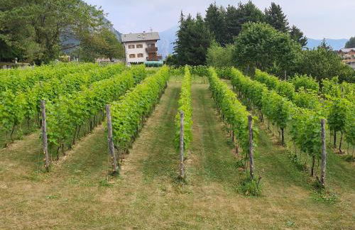 Casa Solaris - Foto 52