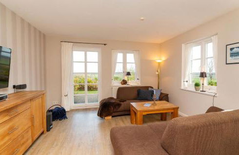 Hüs Waasluuper - Lachmöwe - Photo 9