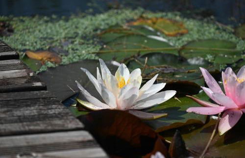 Haus Sohl am Rothaarsteig - Photo 42