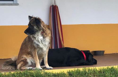 Monte Quinta Verde - Foto 35