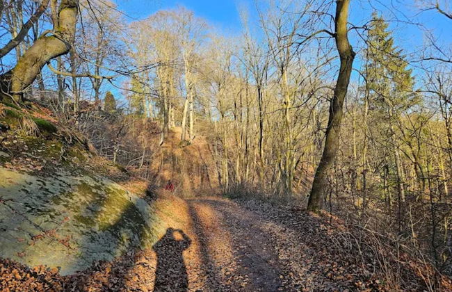Ebenerdige Wohnung mit Terrasse in Winterberg - Foto 25