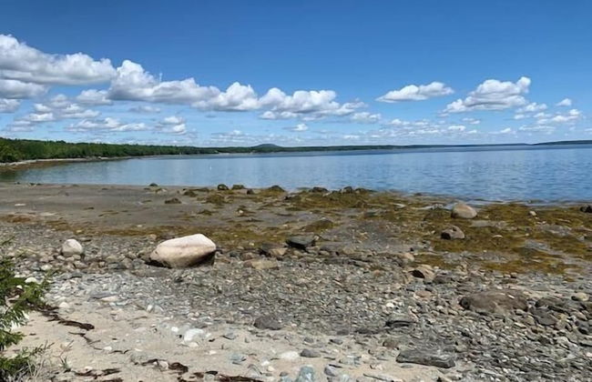 Mabel's Point - Brooklin - Photo 27