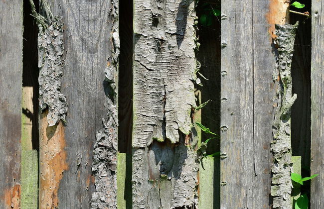 Stilvolle Wohnung in Stormbruch mit Garten - Photo 21