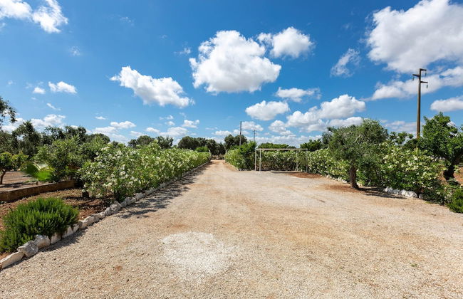 122 Lamia Madreperla by Barbarhouse - Foto 30