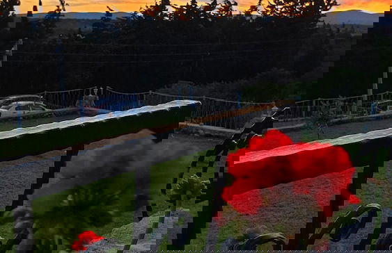 Satsuma Butik Otel - Foto 22