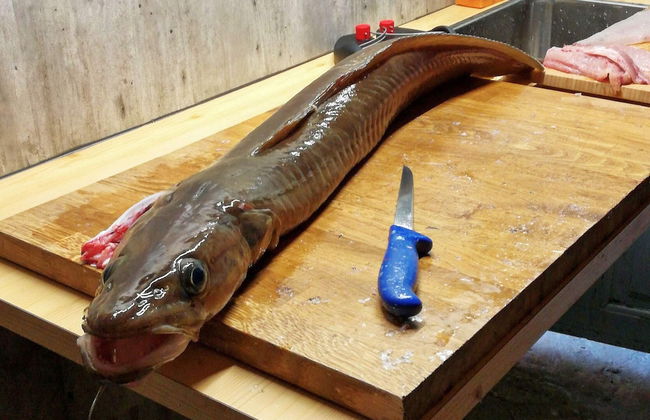 8 Person Holiday Home in Masfjordnes-by Traum - Foto 46