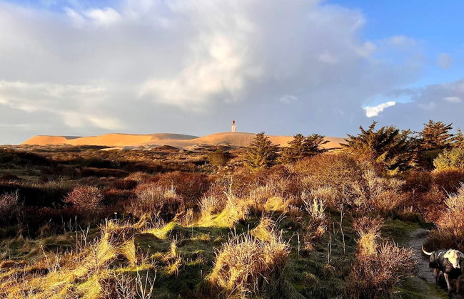 6 Person Holiday Home in Hjorring - Foto 8