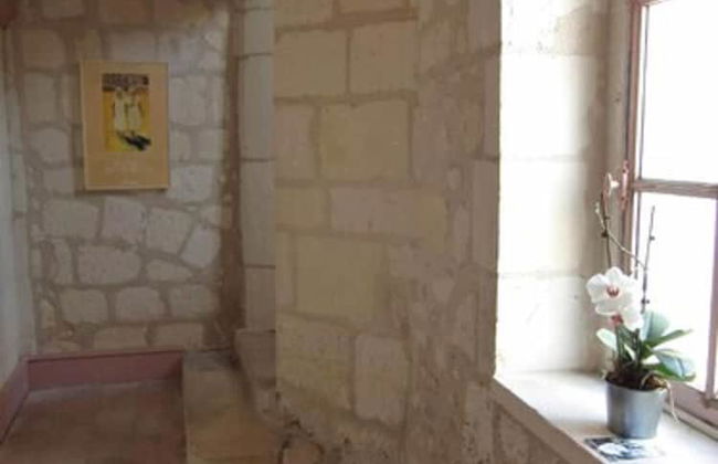 Gite Anne de Beauval - Foto 11