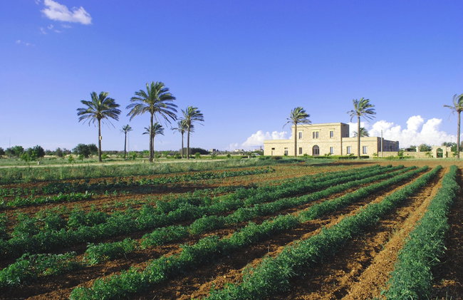 Agriturismo Masseria Galatea - Foto 62