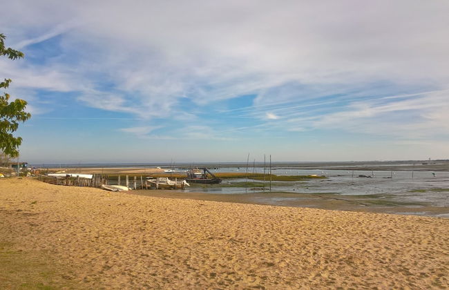 Les Calicots Sanguinet - Photo 18