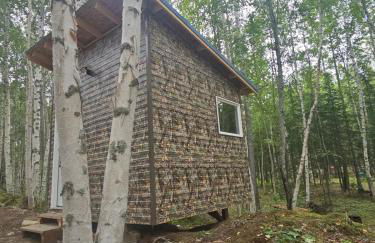 Ma-Su Thunder Cabin #1 - Photo 9