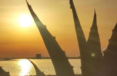 Appartamento a 80m dal mare Salento Puglia - Foto 29