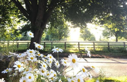 Four Seasons Cottage - in the Cotswolds - Foto 3