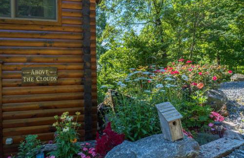 Above the Clouds Log Cabin, Hot Tub & Views! - Photo 15