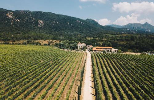 Le chai, belle villa pour 13 personnes au coeur d'un vignoble avec piscine - Foto 32