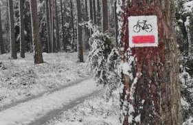 Pod Dębem - Foto 26