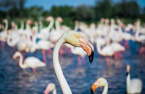 Studio mi casa es su casa - Photo 39