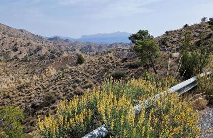 Casa Gran Mirador - Ruime vakantie villa met groot privé zwembad 8-14 pers - Foto 9