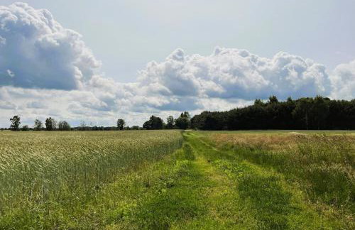 Gutshof Liepe mit 2 Ferienwohnungen - Foto 44