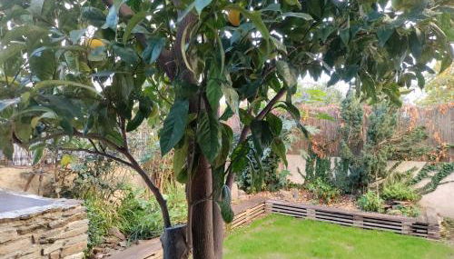 Les Papillons - Foto 4, Garden