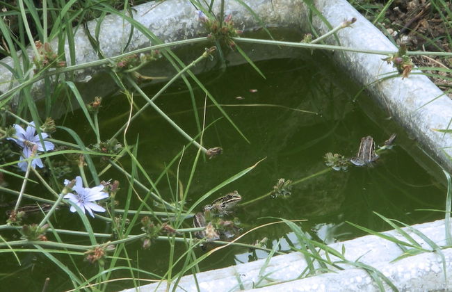 Casa del Geco - Foto 52